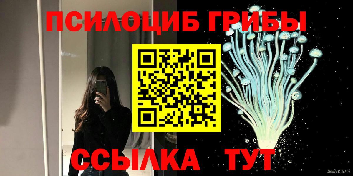 Галлюциногенные грибы ЛСД  Вход с VPN  Заинск 